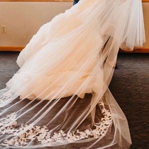 Cathedral Veil With Lace